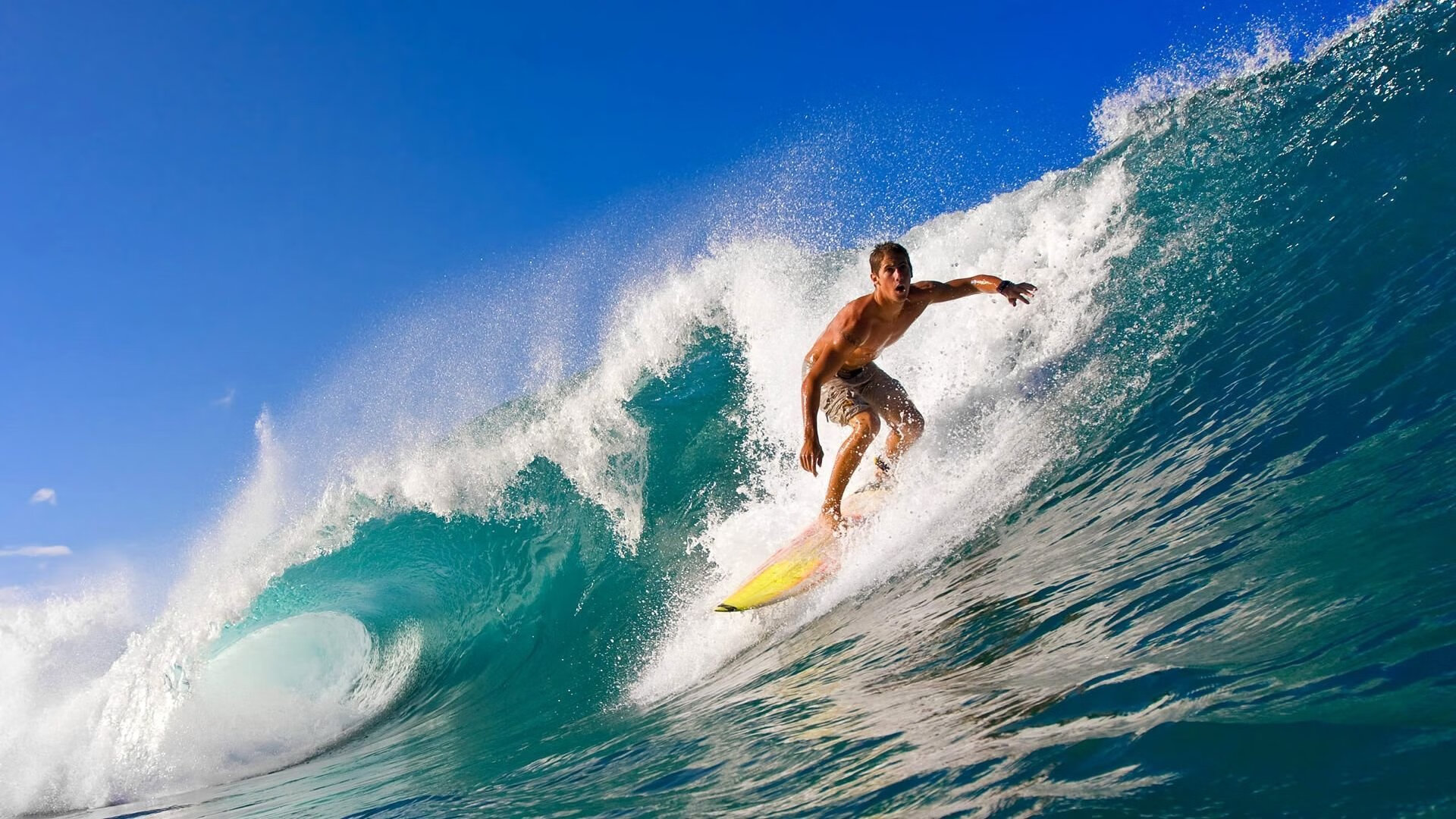 开云中国官网-炉石传说 线下赛阵容逐渐明朗，炉石传说明日更新